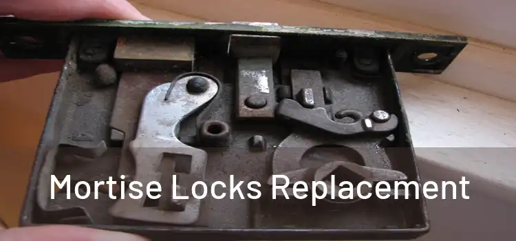  Mortise Locks Replacement 